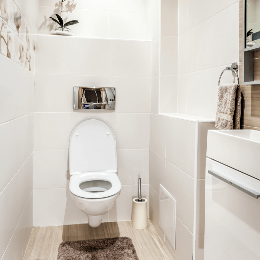 Toiletruimte met fontein en kraan – complete sanitair montage door loodgieter