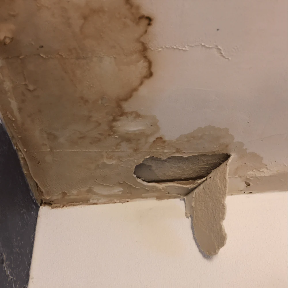 Vochtplek en losgelaten plafondafwerking door een verborgen lekkage, het soort schade dat loodgieter Alex in De Bilt opspoort